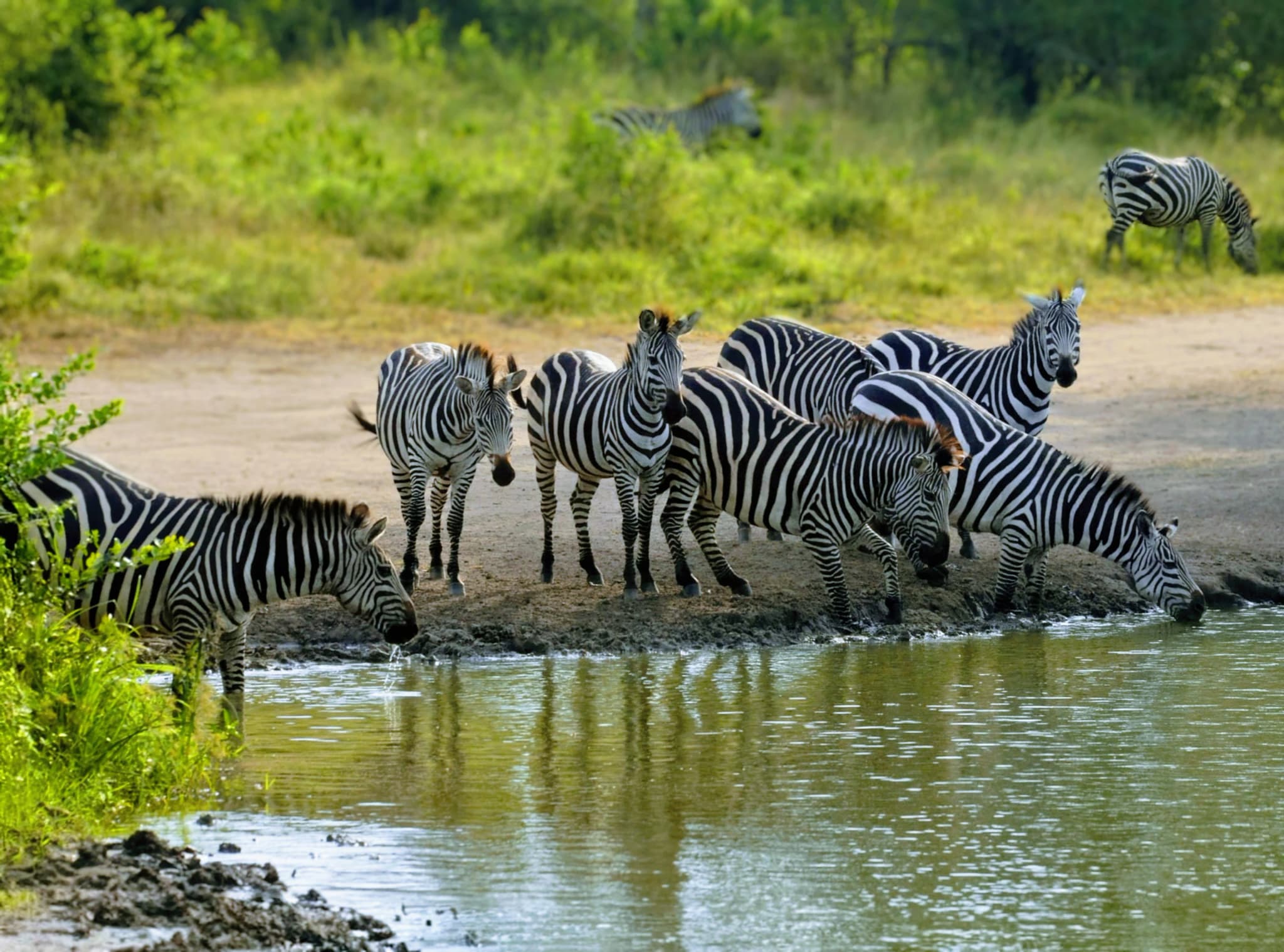 Lake Mburo National Park
